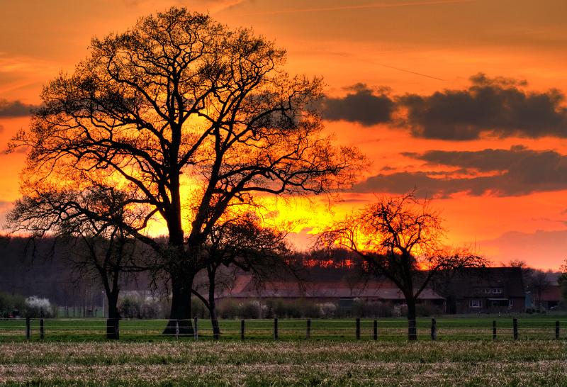 2011_04_07_999_43_1_2_tonemapped 3.jpg - Sonnenuntergang 